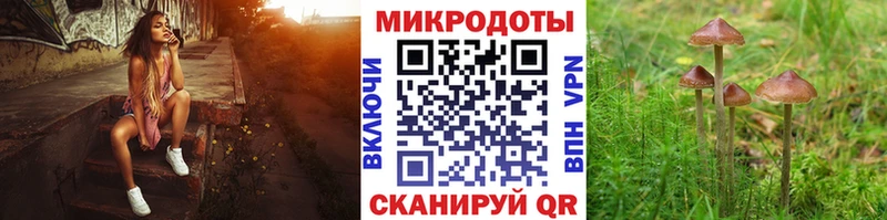 где купить наркоту  Высоцк  Псилоцибиновые грибы GOLDEN TEACHER 